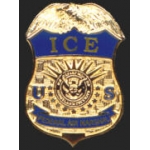 DEPARTMENT OF HOMELAND SECURITY ICE AIR MARSHAL REPLICA MINI PIN